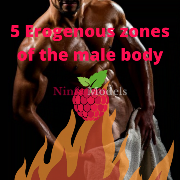 Erotic zones of the male body